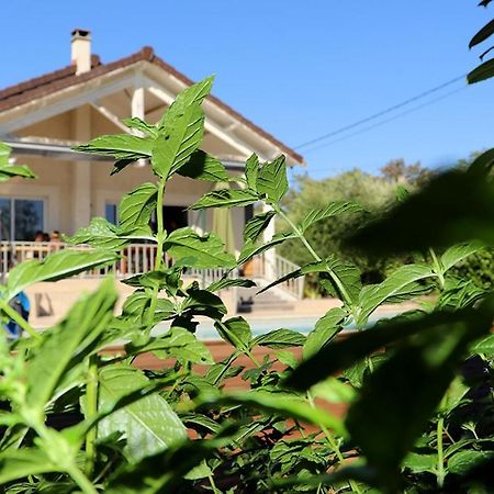 Maison Les Coquelicots Lyon Kültér fotó