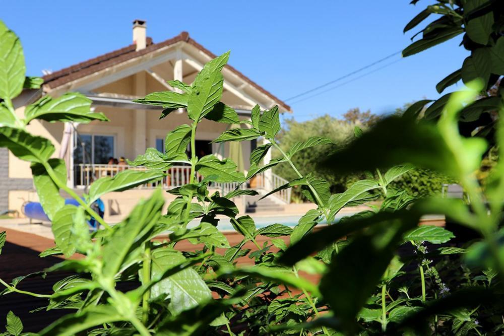 Maison Les Coquelicots Lyon Kültér fotó